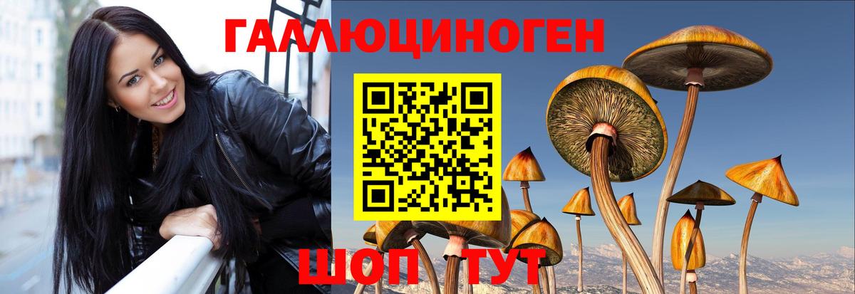Алексин  Псилоцибиновые грибы GOLDEN TEACHER  Вход с VPN 